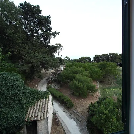 Villa Violić-3